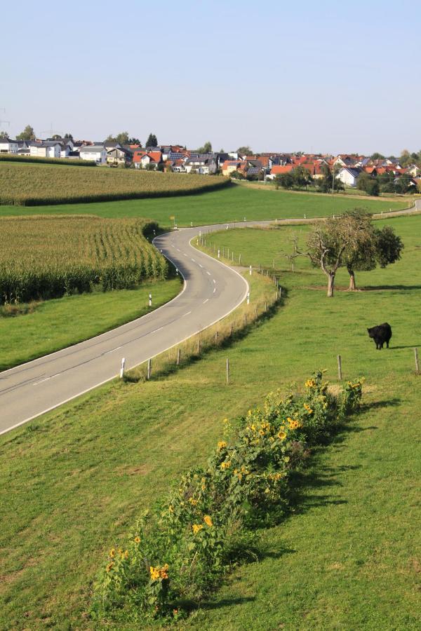 Traubshof Apartman Ochsenhausen Kültér fotó