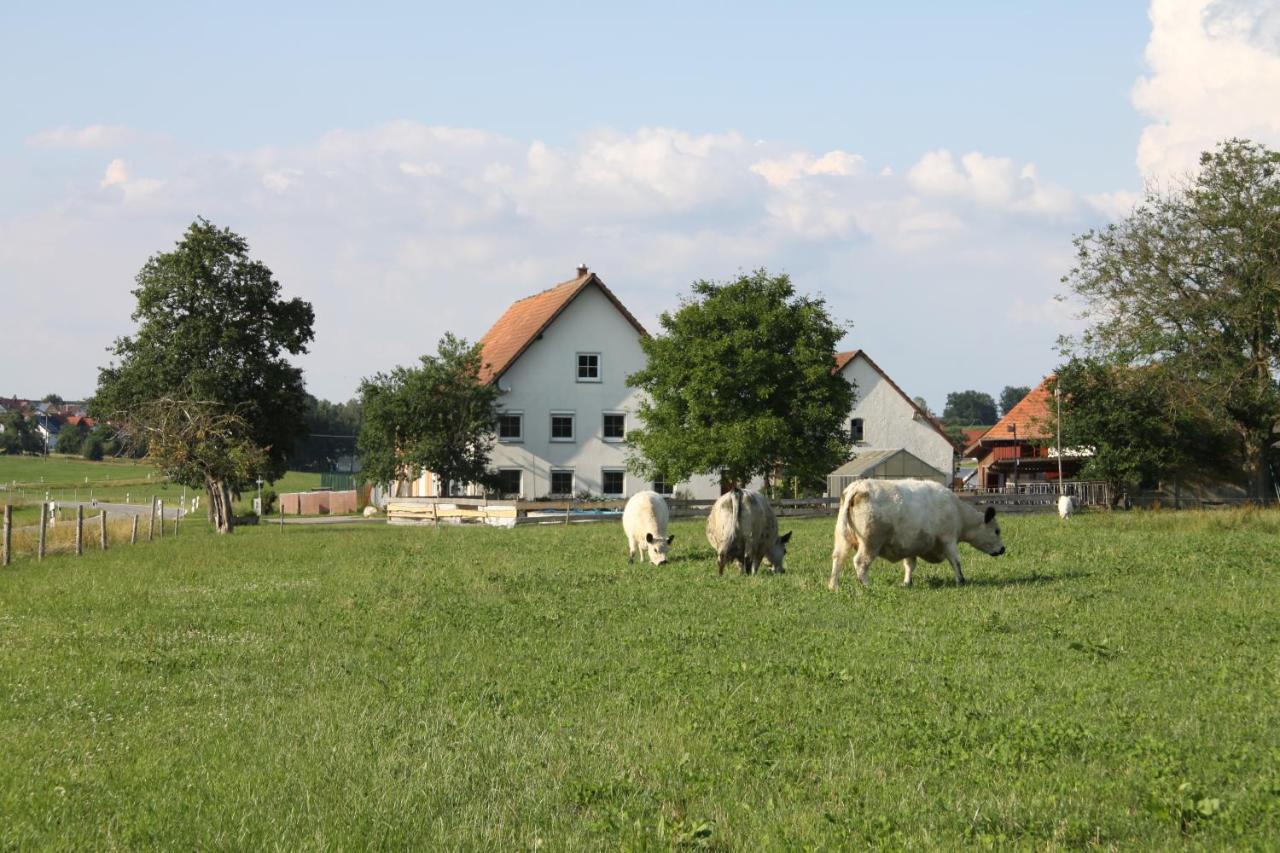 Traubshof Apartman Ochsenhausen Kültér fotó