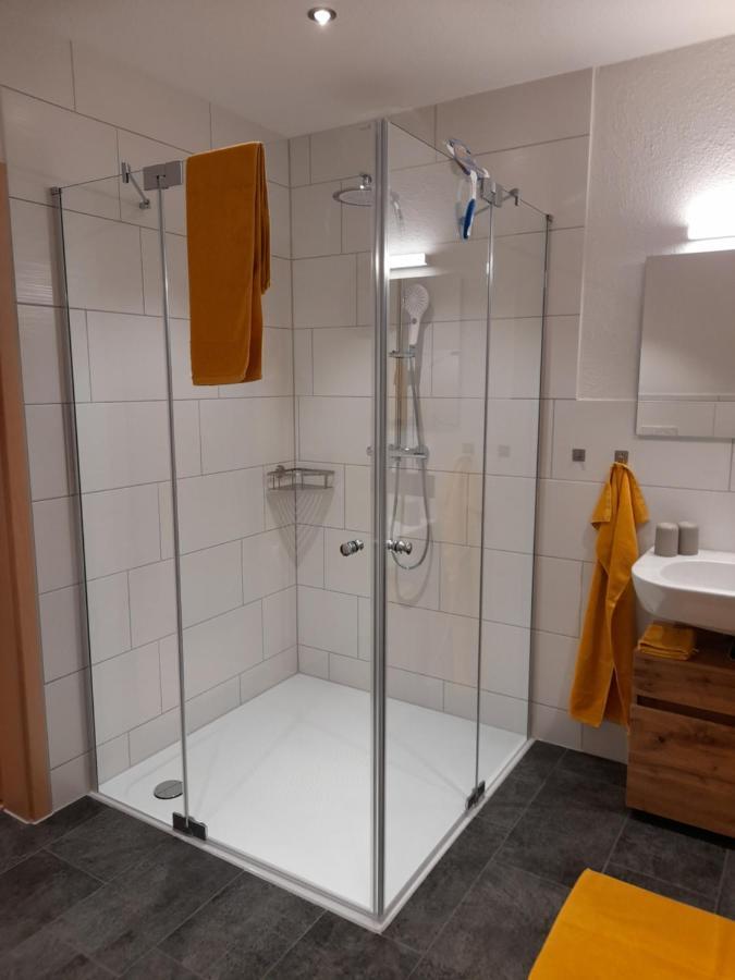 Traubshof Apartman Ochsenhausen Kültér fotó