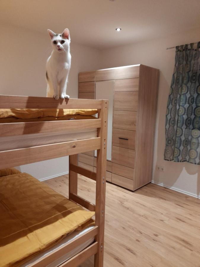 Traubshof Apartman Ochsenhausen Kültér fotó